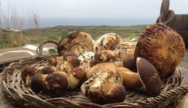 Farma Vila Pantelleria Le Ballute Tracino Itálie