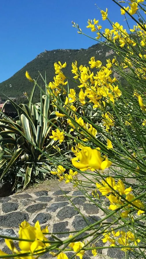 Vila Pantelleria Le Ballute Tracino 0*,